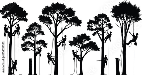 Tree climbing arborist silhouettes set showing rope access workers pruning tall trees isolated on white background for forestry and outdoor labor concepts