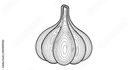 Detailed hand-drawn black and white line art of a single garlic bulb with wood-grain like texture on its surface.