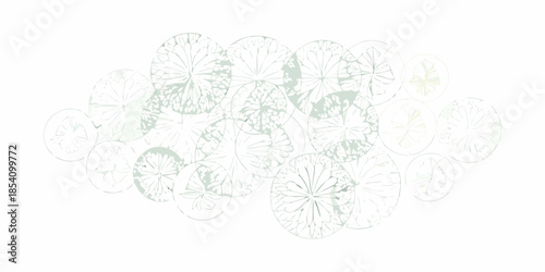 Quadro em tela A collection of delicate pale green circular floral patterns resembling lily pad