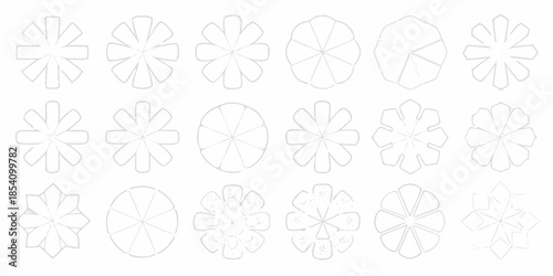 Arrangement of geometric floral shapes with varying petal counts and styles