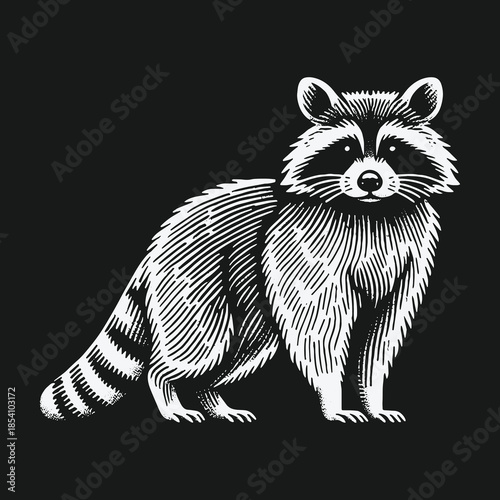 Stylized raccoon illustration in a black and white linocut style.