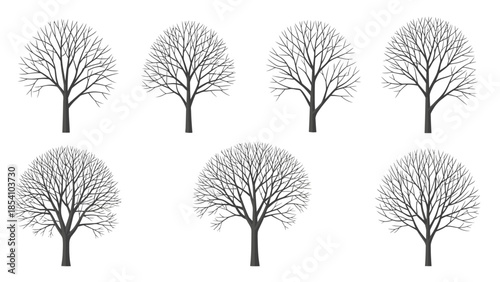 Set of six bare trees with varying branch structures against a plain white background in a graphic illustration.