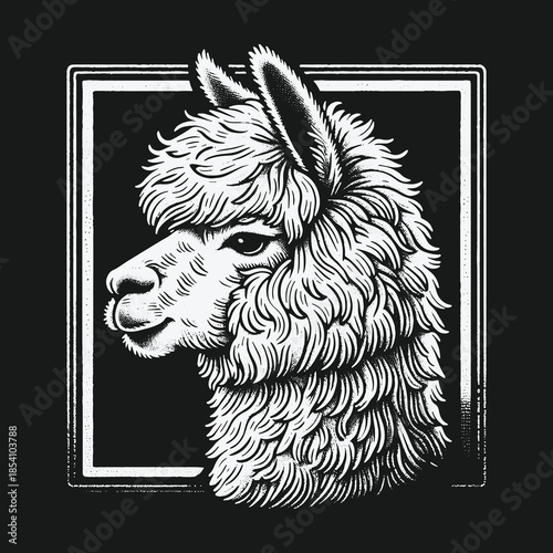 Vintage style alpaca head illustration on a black background.