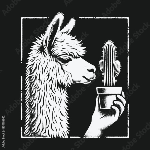 A curious llama looks at a small cactus in a pot.