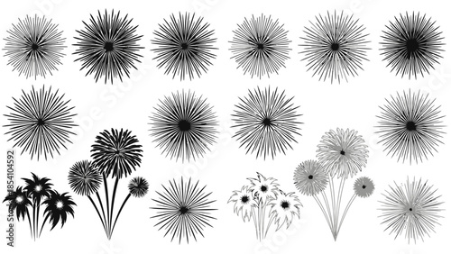 A collection of black and white dandelion seed heads and floral arrangements