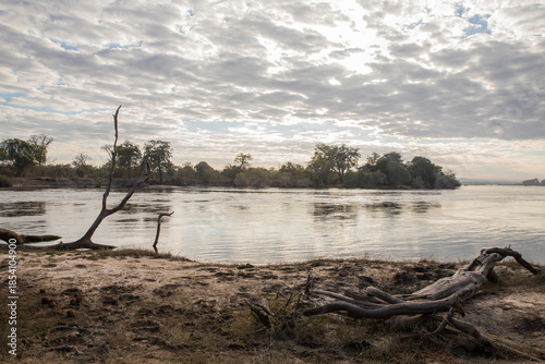 Zambezi National Park in Zimbabwe, Africa