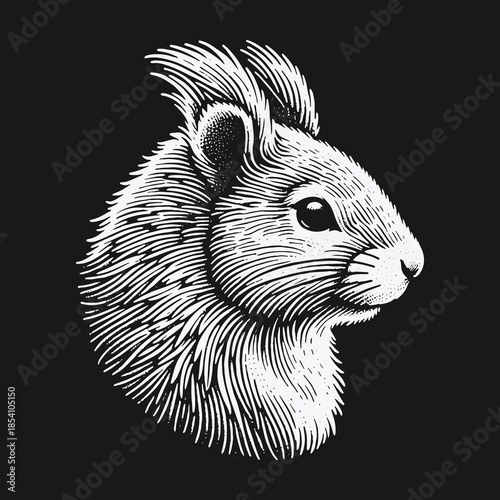 Vintage squirrel head illustration in black and white engraving style.