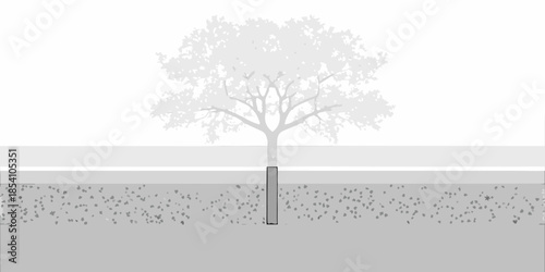 A solitary tree with sparse foliage stands before a light gray horizon