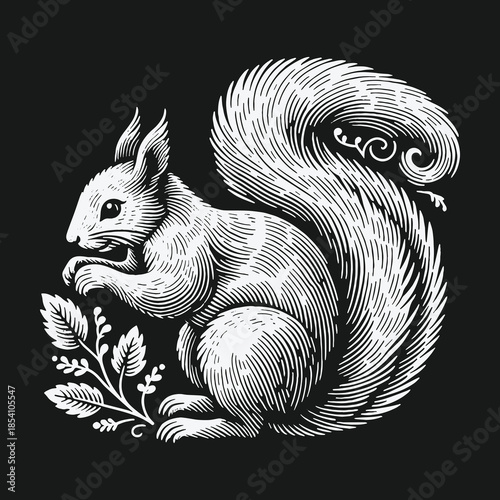 Elegant white squirrel illustration in vintage engraving style on a dark background.