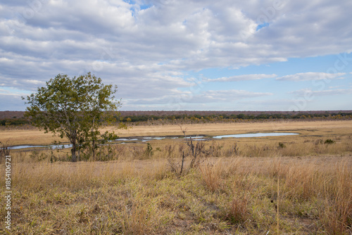 Zambezi National Park in Zimbabwe, Africa