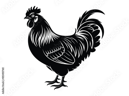 Rooster Silhouette Vector Illustration Black and White Farm Animal Graphic Design