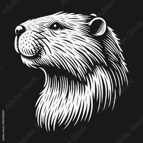 Vintage groundhog head illustration in black and white engraving style.