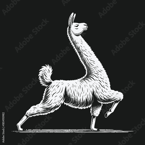 Elegant white llama walking in a graphic woodcut style illustration.
