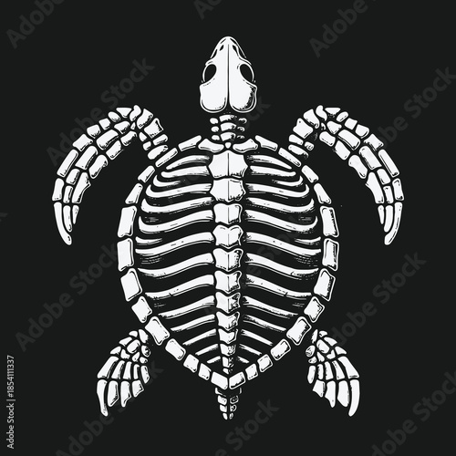 Monochrome sea turtle skeleton illustration on a black background.
