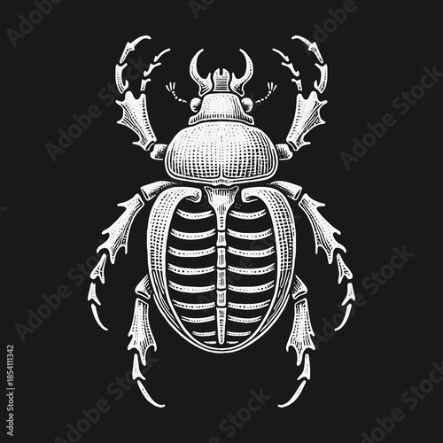 Surreal skeletal beetle illustration with an exposed rib cage.