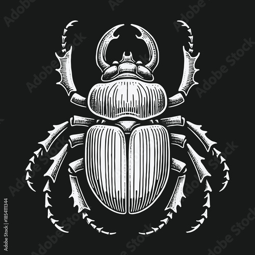 Vintage engraving style stag beetle illustration on a solid black background.