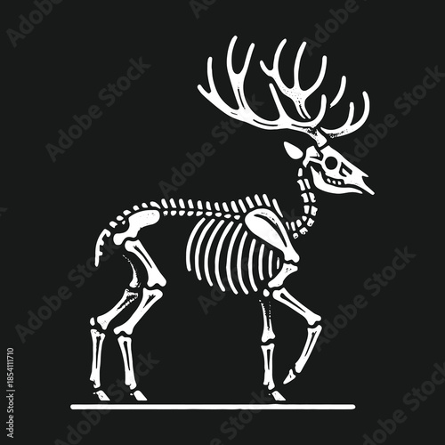 Majestic deer skeleton anatomical vector art illustration.
