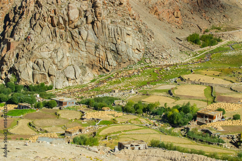 Fototapeta premium Green agricultural land amongst barren mountains of Leh, Ladakh - image shot from Changla pass. Leh, Jammu and Kashmir, India