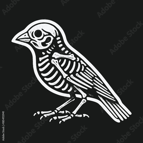 White line art illustration of a bird skeleton on a black background.
