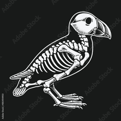 Stylized puffin bird with visible skeleton anatomy drawing.