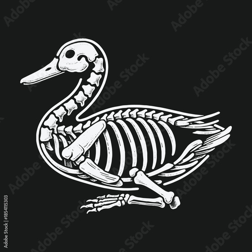 Stylized white line art illustration of a duck skeleton on a black background.