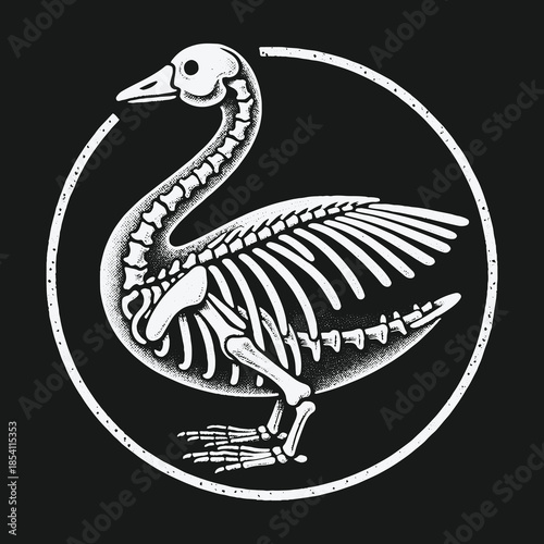 Monochrome illustration of a goose skeleton inside a circular frame.