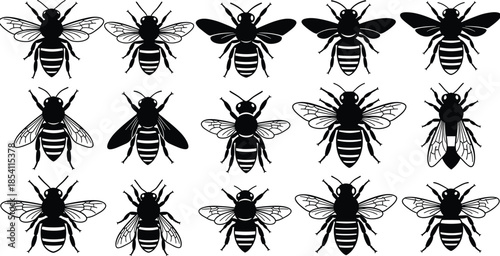 Bee insect silhouettes set, flying honey bee variations, black detailed entomology icons collection, isolated nature wildlife vector illustration pack