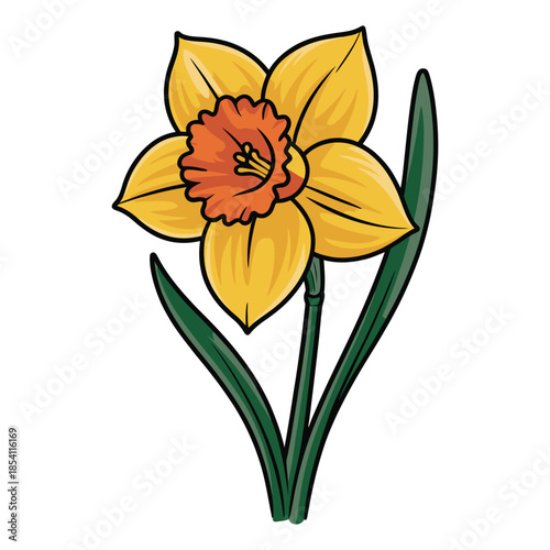 Graceful Daffodil Bloom Captivating Springtime Beauty with Vibrant Petals and Verdant Leaves Meticulously Crafted Vector Graphic Ideal for Diverse Designs
