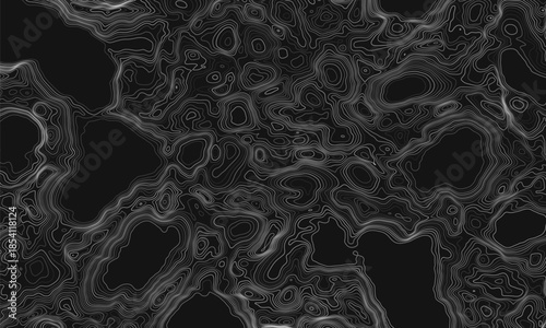 Topographic map. Geographic contour map background with elevation lines. Detailed terrain visualization concept. Vector illustration of landscape elevations and natural relief.
