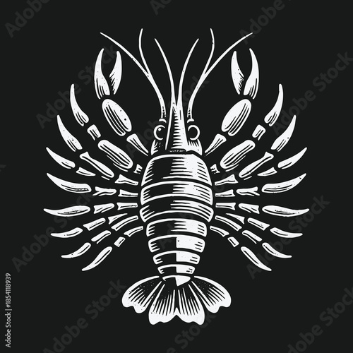 Vintage crayfish illustration in a black and white engraving style.