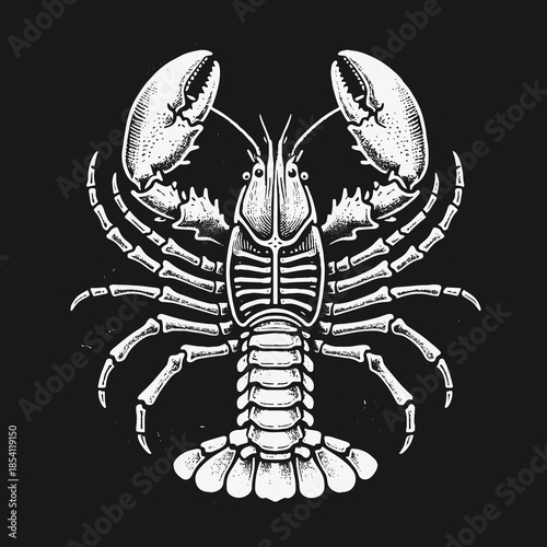 Vintage Engraved Lobster Illustration on Black Background.
