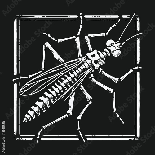 Skeletal insect illustration in a hand drawn square frame.