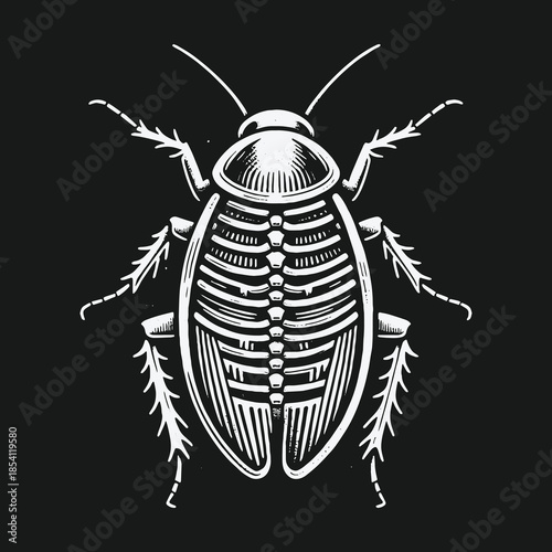 Stylized cockroach insect illustration with skeletal anatomy.