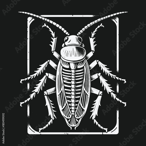 Monochrome graphic vector illustration of a cockroach insect.