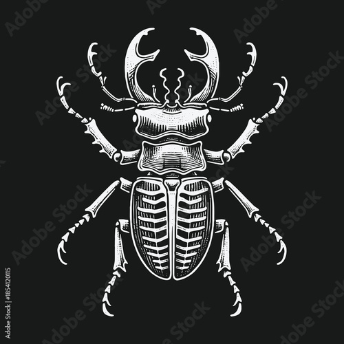 Vintage Stag Beetle Engraving Illustration on Black Background.