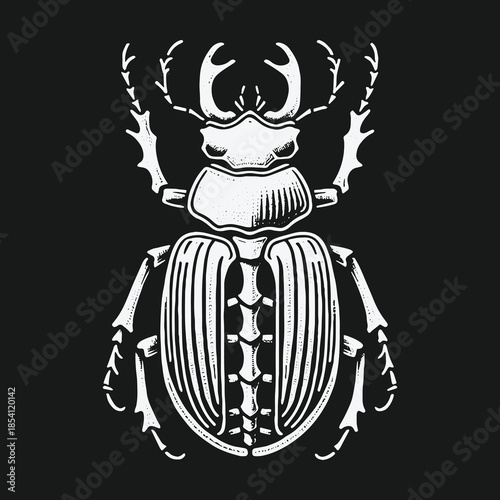 Stylized white stag beetle insect vector illustration on black background.