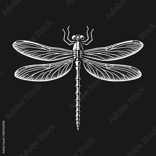 Elegant white dragonfly line art illustration on a solid black background.