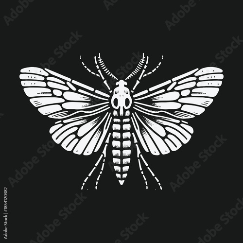 Gothic Death Head Hawkmoth Illustration on Black Background.