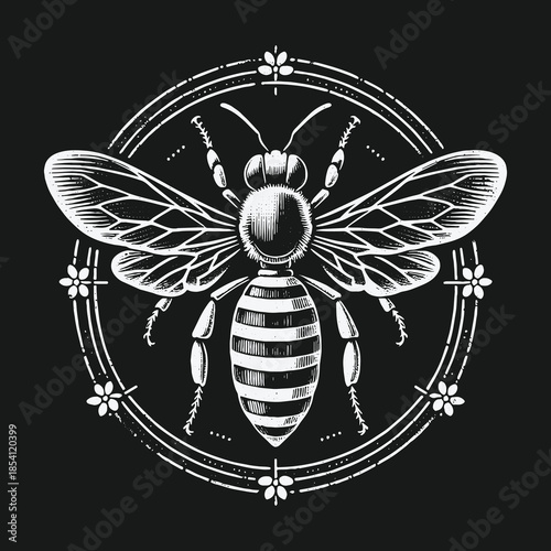 Vintage Engraved Bee Illustration in Ornate Circular Frame.