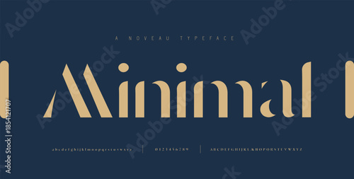 Elegant alphabet letters font and number. Classic Lettering Minimal Fashion Designs. Typography fonts regular uppercase, lowercase and numbers. vector illustration