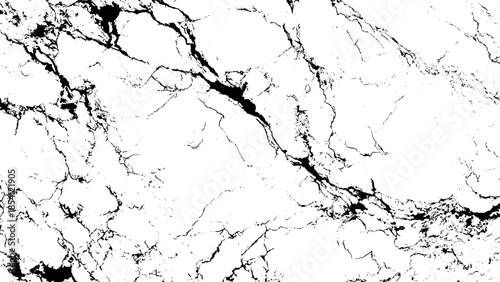 white marble texture with black veins