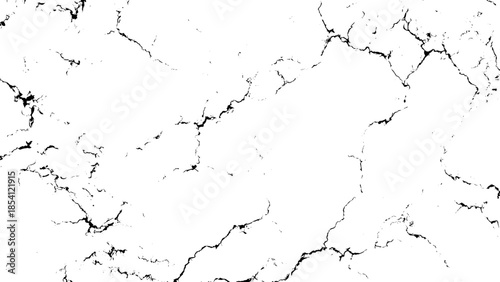 White marble texture with black veins