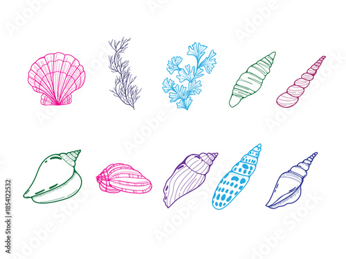  Colorful Lining Sea Shell Doodle Collection, Vibrant Hand-Drawn Ocean Shell Illustrations