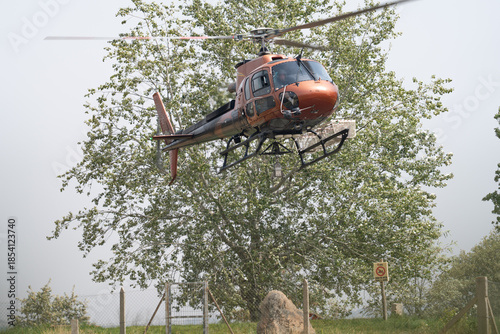 Helicopter Hovering Near Tree in Natural Setting