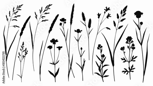 Collection of Various Wildflowers and Grasses Silhouettes.