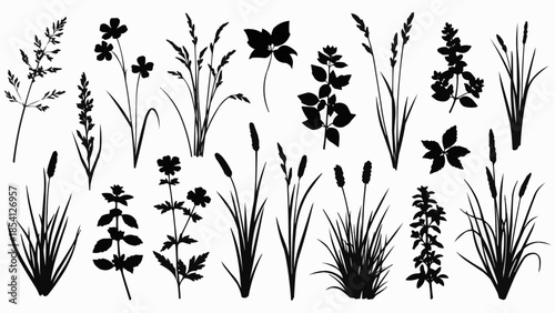 Collection of Various Black Silhouette Plants.