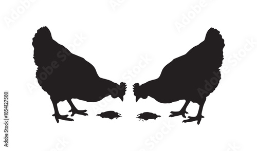 Silhouette of two hens pecking on the ground, farm animal and poultry livestock vector illustration.