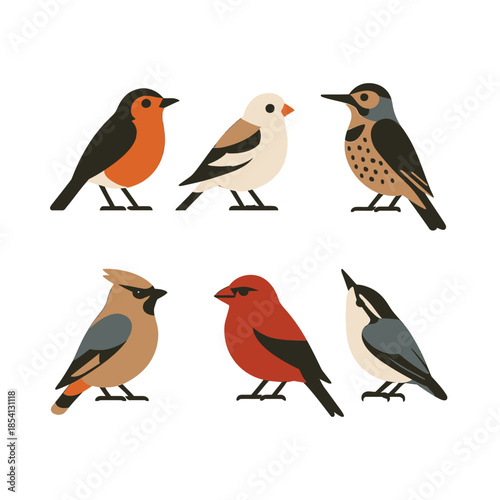 Schilderij op canvas Colorful North American Winter Songbird Illustration Vector Collection