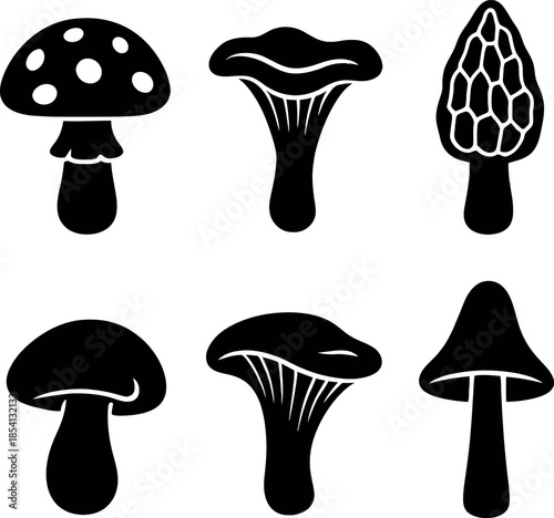 Organic Wild Mushroom and Fungi Silhouettes for Nature Design