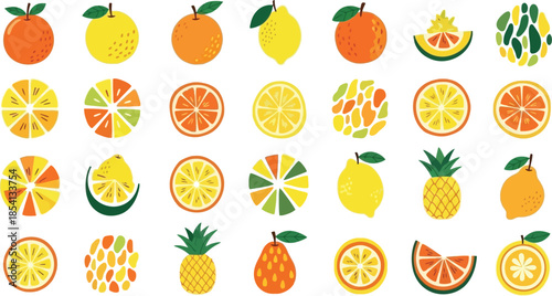 Vibrant and colorful illustrations of various citrus fruits and slices